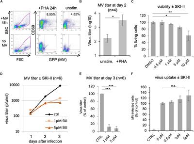 Use of Acid Ceramidase and Sphingosine Kinase Inhibitors as Antiviral Compounds Against Measles Virus Infection of Lymphocytes in vitro